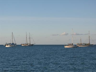 various sailboats