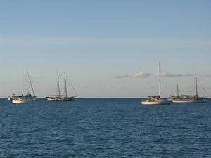 various sailboats