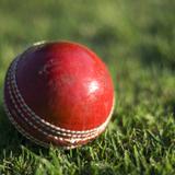 traditional cricket ball