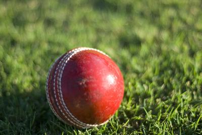 traditional cricket ball