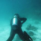 Scuba Diver in the water