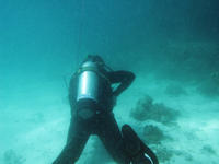 Scuba Diver in the water