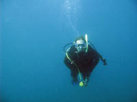 Scuba Diving