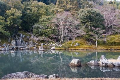 Tranquil Zen garden pond