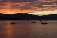 boats at anchor