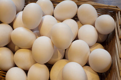 Basket OF Fresh Eggs