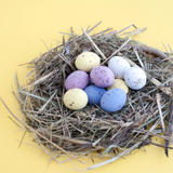 Colourful Easter Nest