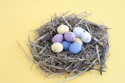 Colourful Easter Nest