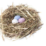 Candy Easter Eggs In Nest