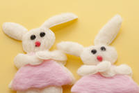 Fluffy Easter Bunnies