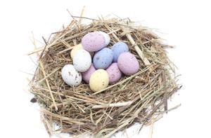 Easter Egg Nest