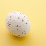 Single Speckled Mini Easter Egg