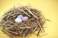 Mini Egg Nest