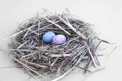 Nest And Easter Candy