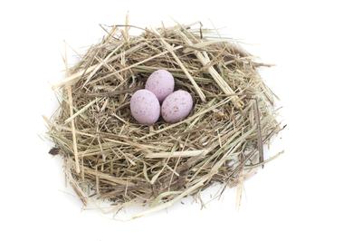 Nest And Pink Eggs