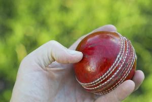 Hand Holding Cricket Ball