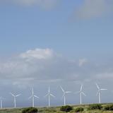 Pakini Nui Wind Farm