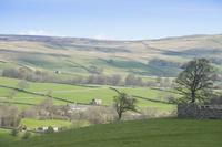 wensleydale landscape