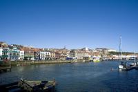 whitby lower harbour