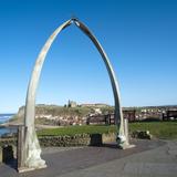 whalebone arch