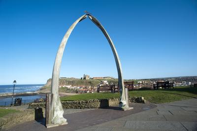 whalebone arch