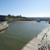 whitby harbour