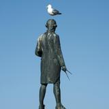 captain cook seagull