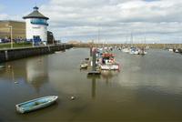 whitehaven beacon