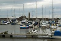 whitehaven boats