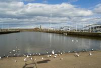 whitehaven harbor