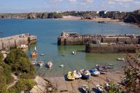 newquay fishing harbour