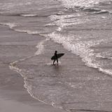 surf silhouette