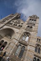 natural history museum steps