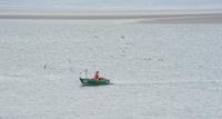 morecambe bay fishing