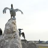 sea bird statue