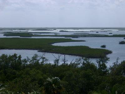 mexico swamps