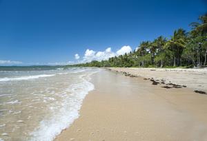 sandy tropical beach