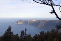 cape pillar view