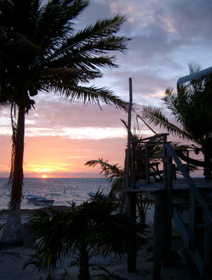 palms at sunset mexico