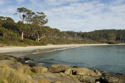 fortescue bay