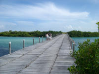 road bridge