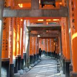 red torii gates
