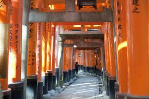 red torii gates
