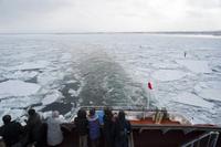 Ice Drift Viewing