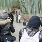 Bamboo Photographers