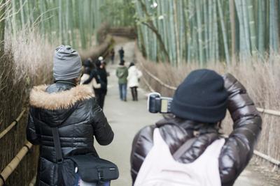 Bamboo Photographers