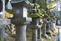 Japanese stone lanterns