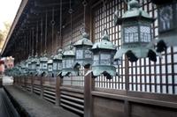 Kasuga-taisha Metal Lanterns