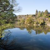 Kyoyochi Pond