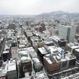 Sapporo from Above